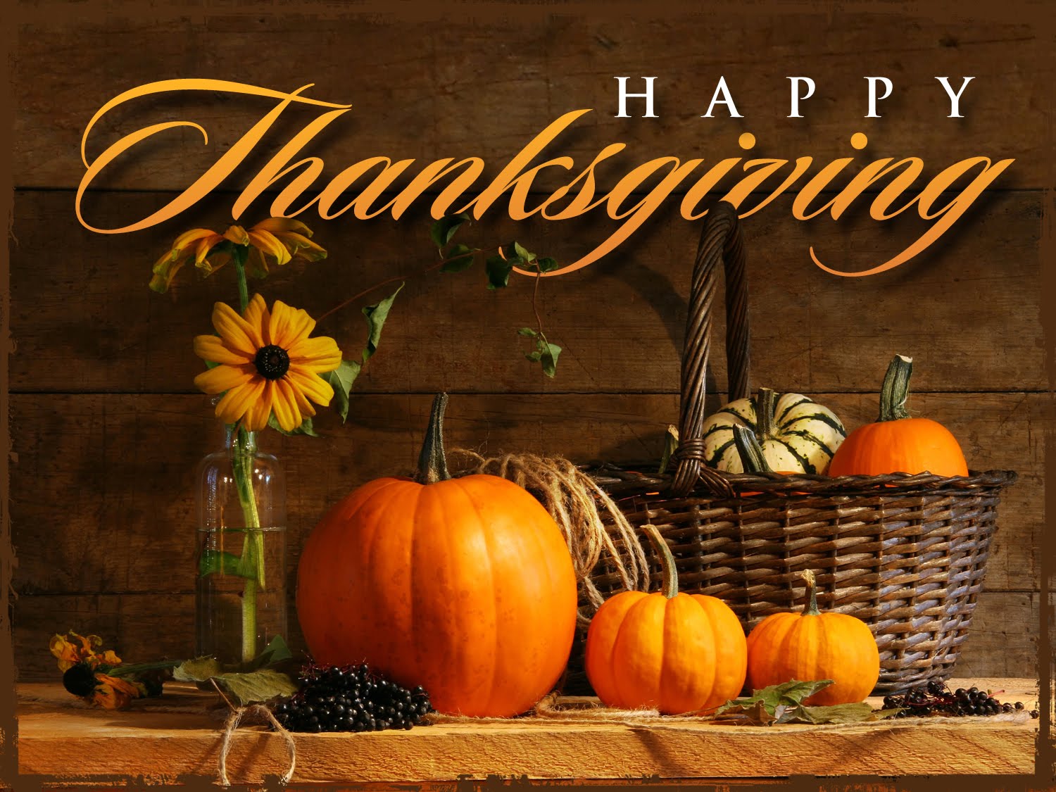 Happy Thanksgiving! - Intelligent Networks, Inc.