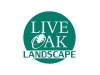 Live Oak Landscape